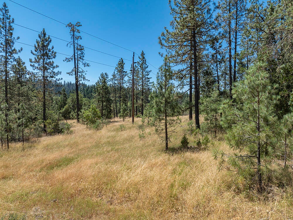 650 Gold Canyon Road Selma, OR 97538 - Photo 24 of 47 27