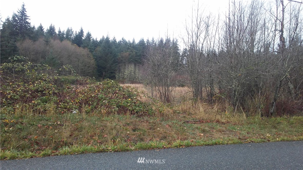 0 Chapman Road Camano Island, WA 98282 - Photo 1 of 7 Gallery Image 1