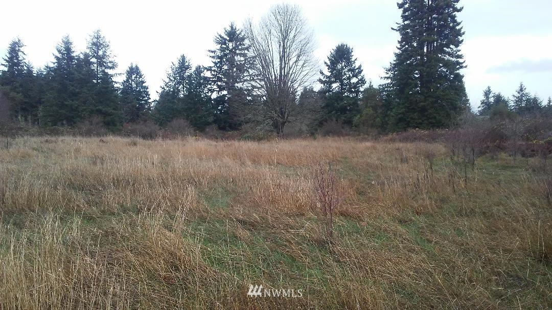 0 Chapman Road Camano Island, WA 98282 - Photo 3 of 7 Gallery Image 3