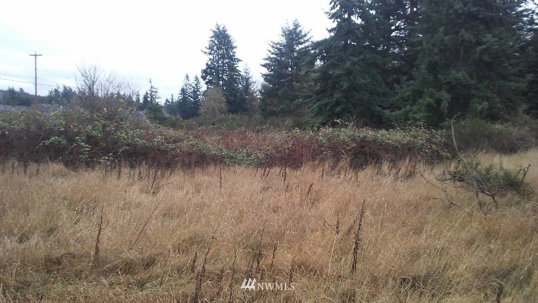 0 Chapman Road Camano Island, WA 98282 - Photo 5 of 7 Gallery Image 5