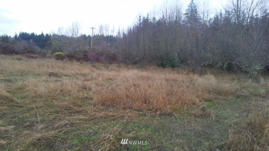0 Chapman Road Camano Island, WA 98282 - Photo 7 of 7 Gallery Image 7