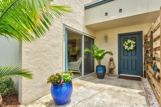 a potted plant sitting on top of a wooden floor