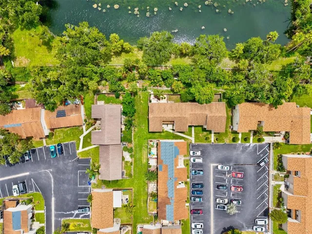 a view of a house with a yard and plants