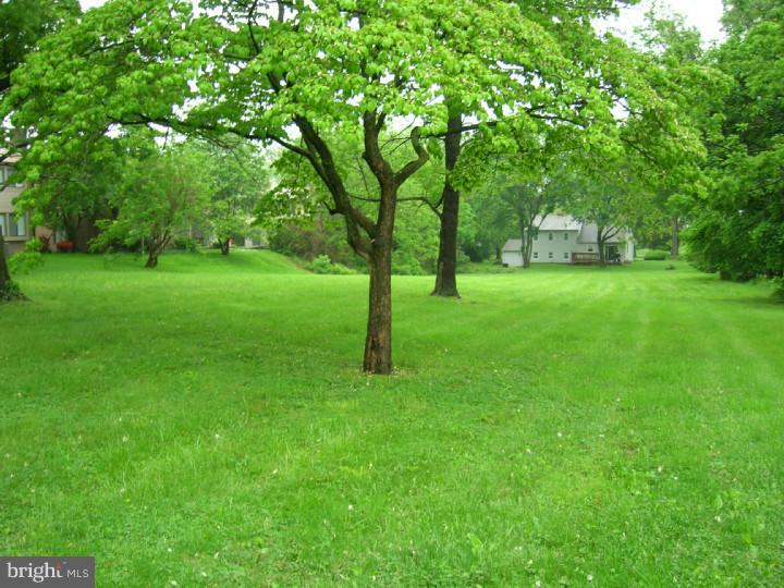 116 Fitzwatertown Road Willow Grove, PA 19090 - Photo 16 of 16 Back Yard