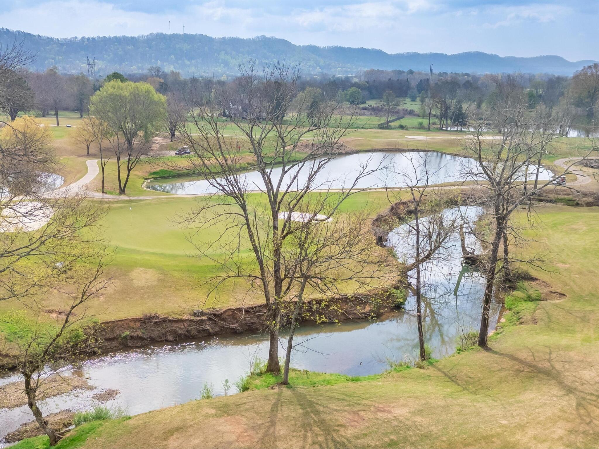191 Wisley Way Ringgold, GA 30736 - Photo 34 of 36 191 Wisley Way