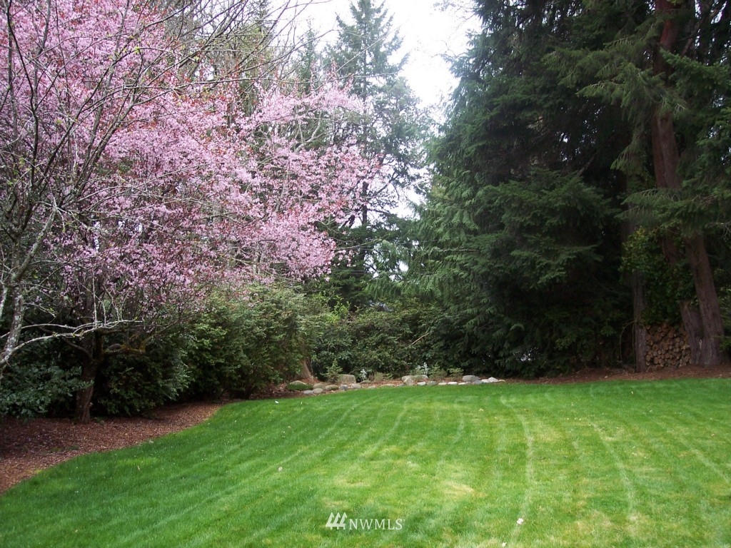 10099 Misery Point Road Northwest Seabeck, WA 98380 - Photo 14 of 15 Gallery Image 14