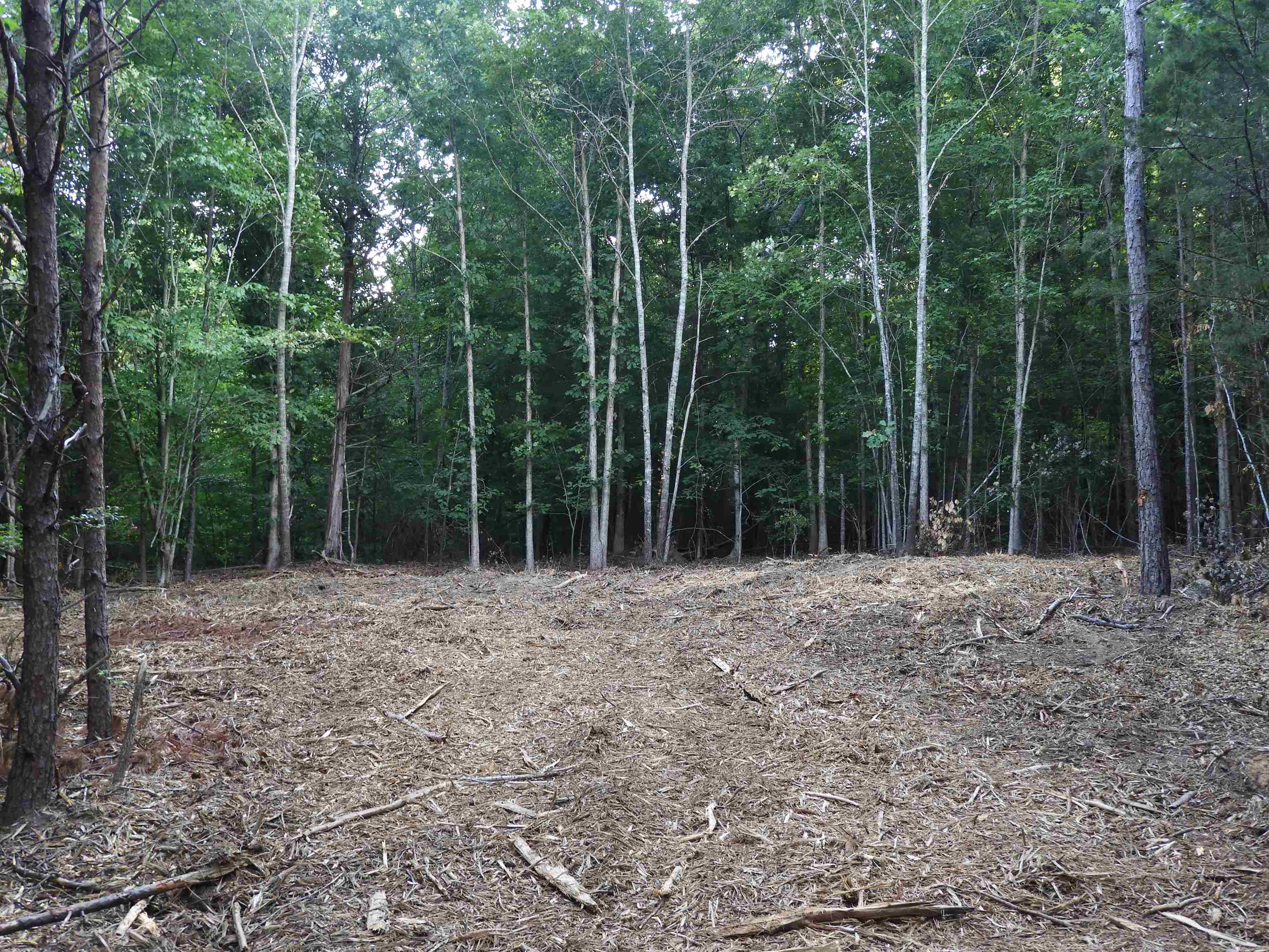 2109-tract D 2109-tract D Riddle Road Pauline, SC 29374 - Photo 41 of 42