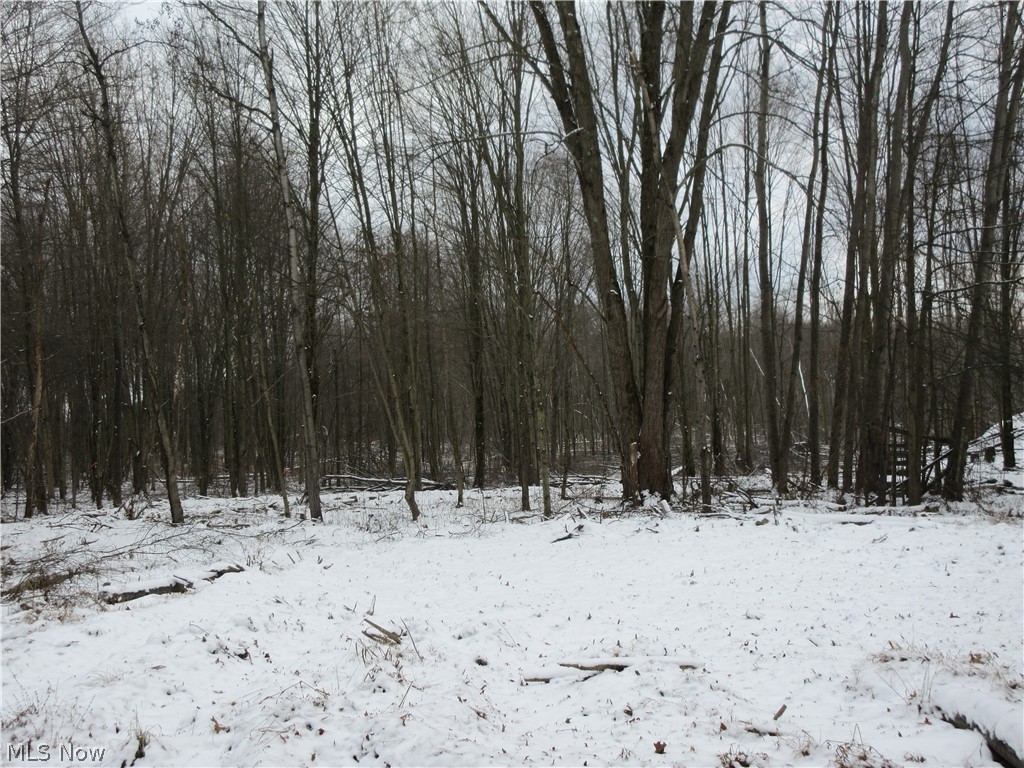 0 Anderson Anthony Road Warren, OH 44481 - Photo 3 of 14 Gallery Image 3