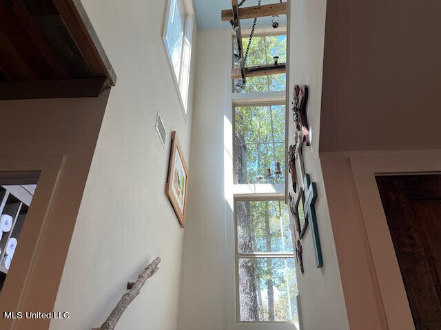 1626 Lake Road Pelahatchie, MS 39145 - Photo 54 of 68 unnamed(62)
