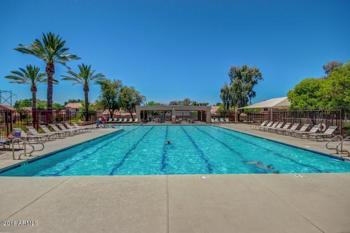 3610 East Agave Road Phoenix, AZ 85044 - Photo 54 of 61 agaveMTPARKPOOL