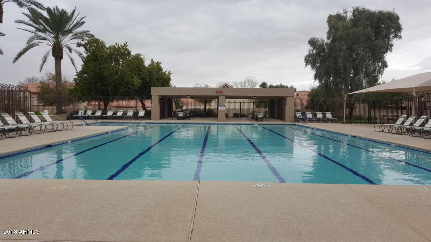 3610 East Agave Road Phoenix, AZ 85044 - Photo 56 of 61 agaveMTPARKLAPPOOL1