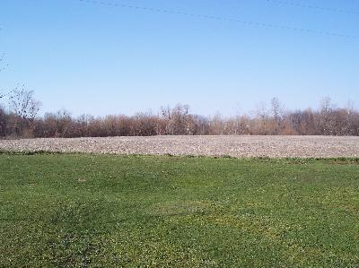 7980 West Hallett Road Allen, MI 49227 - Photo 4 of 12 Additional Photo