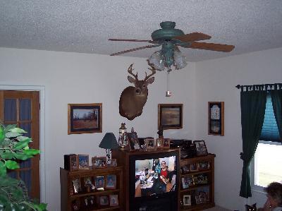 7980 West Hallett Road Allen, MI 49227 - Photo 8 of 12 Additional Photo