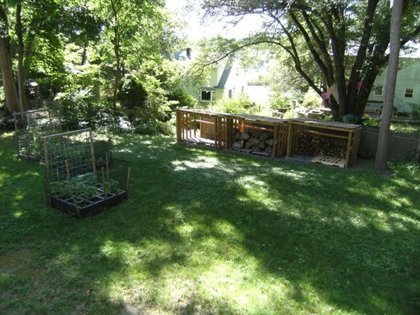 6 Gerald Road Framingham, MA 01701 - Photo 20 of 20 a backyard of a house with plants and large trees