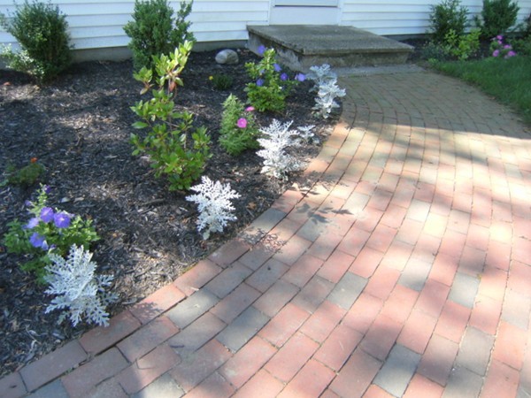 6 Gerald Road Framingham, MA 01701 - Photo 3 of 20 a view of a pathway with a yard