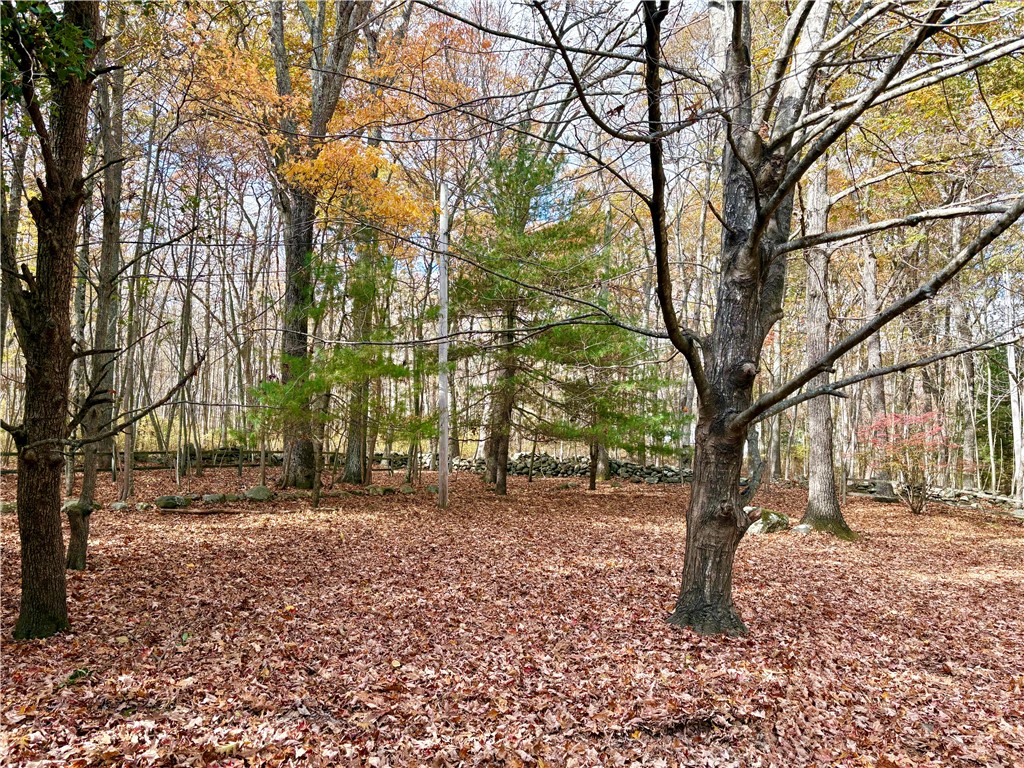 86 Central Pike Scituate, RI 02857 - Photo 24 of 26 Side Yard