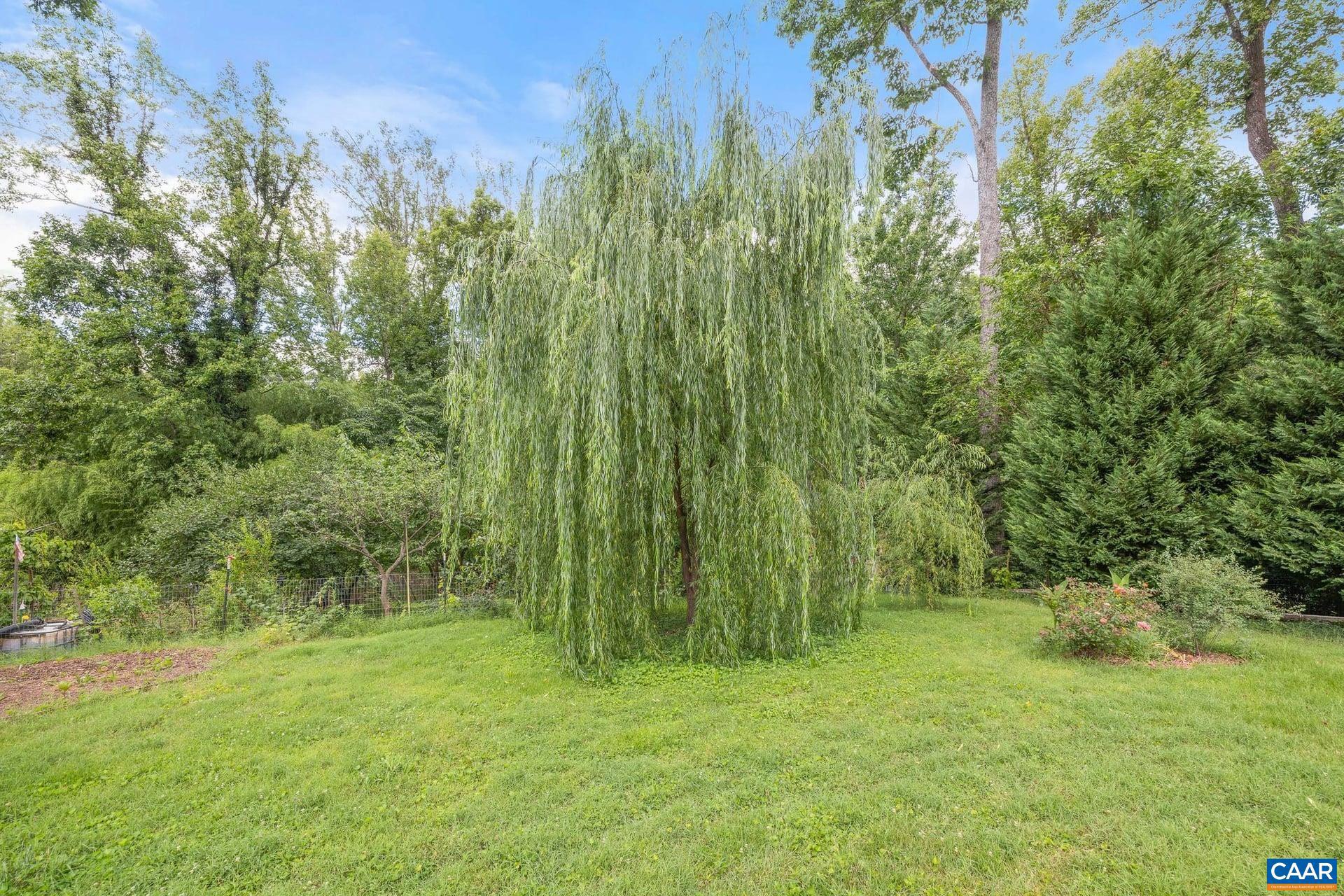 2417 Angus Road Charlottesville, VA 22901 - Photo 48 of 67