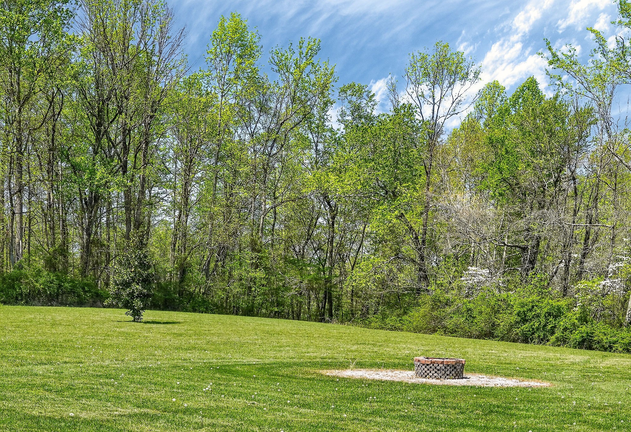 302 Ligon Street Baxter, TN 38544 - Photo 67 of 68