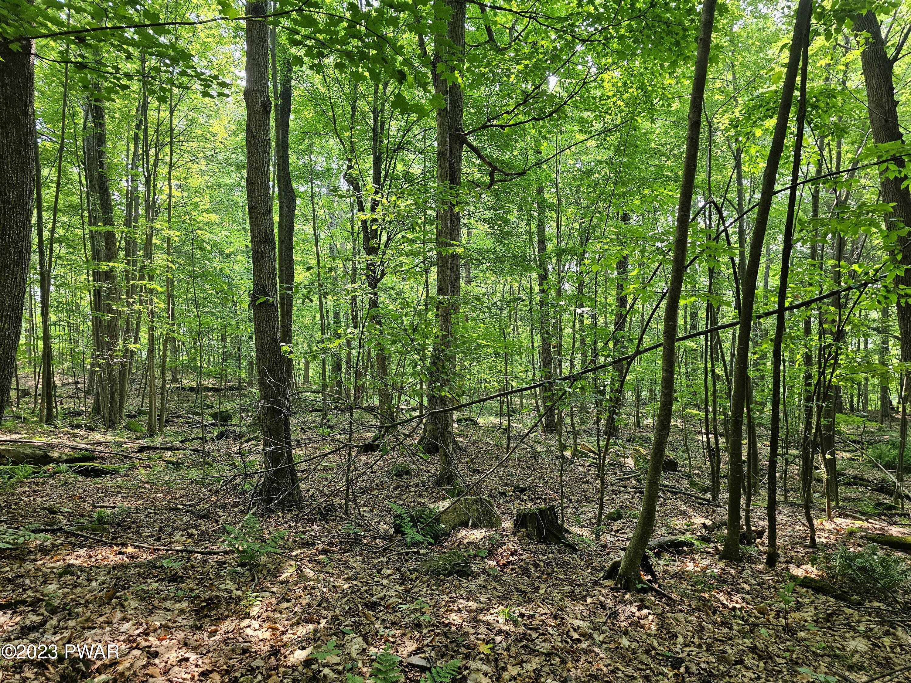 Lot 61 Rock Run Road Damascus, PA 18415 - Photo 7 of 56