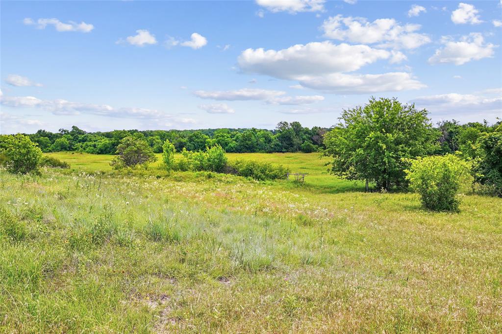 Tbd Schoolhouse Road Forestburg, TX 76239 - Photo 15 of 40 Gallery Image 15
