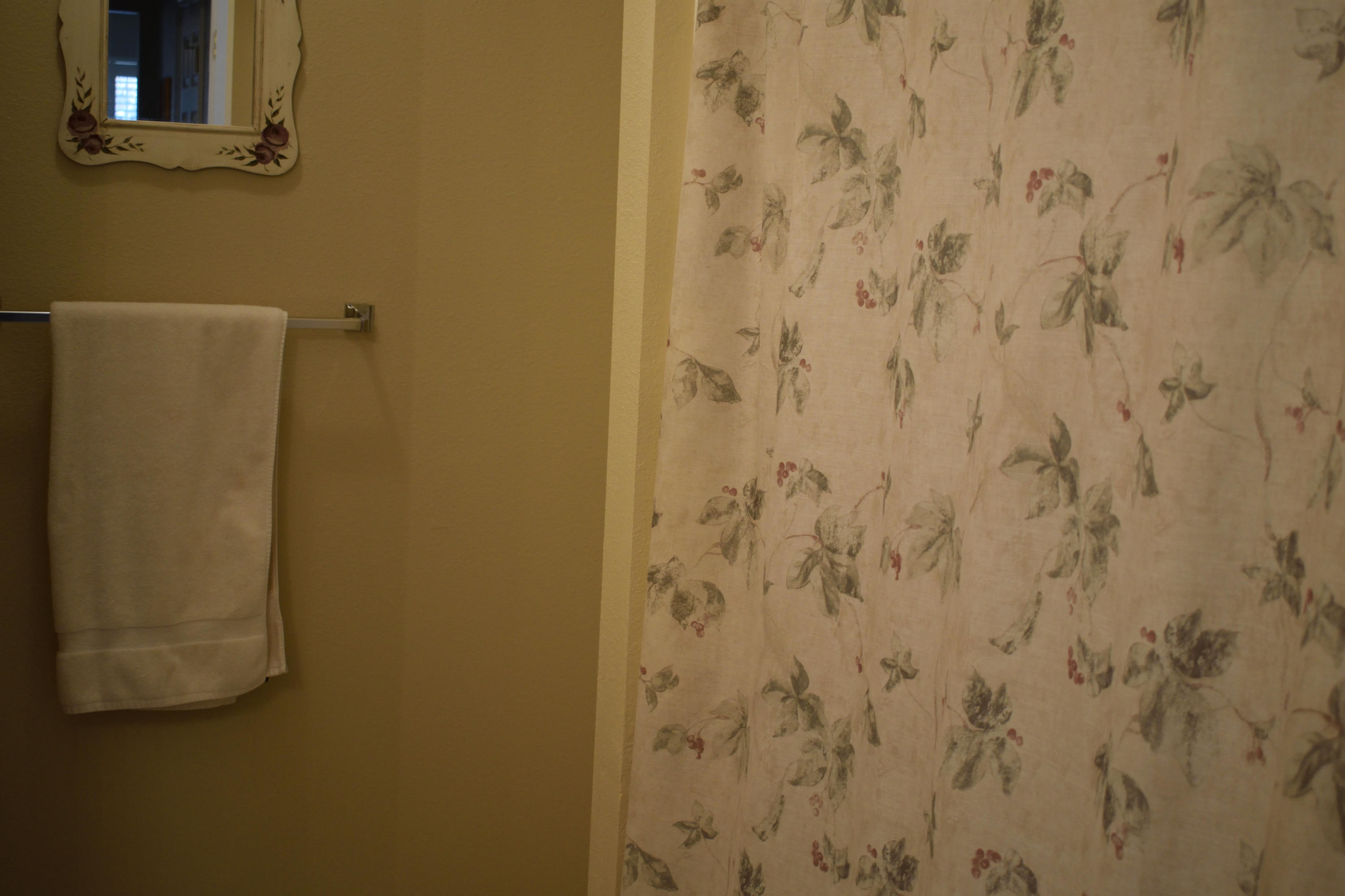 155 Bayou Landing Road Miramar Beach, FL 32550 - Photo 22 of 34 a bathroom with a shower