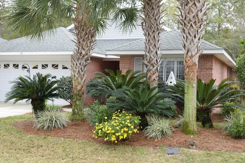 155 Bayou Landing Road Miramar Beach, FL 32550 - Photo 3 of 34 a view of a palm trees in front of a house