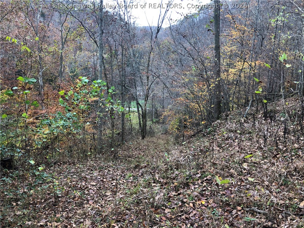 0 Wilsie Road Frametown, WV 26623 - Photo 10 of 24 Gallery Image 10