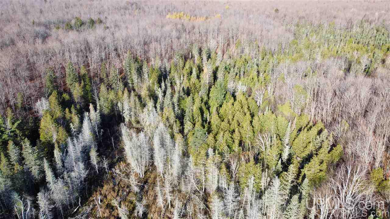 Tbd Newberg Road Channing, MI 49815 - Photo 28 of 29