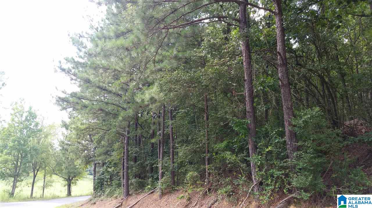 1885 Brooks Lake Road Lincoln, AL 35096 - Photo 15 of 30