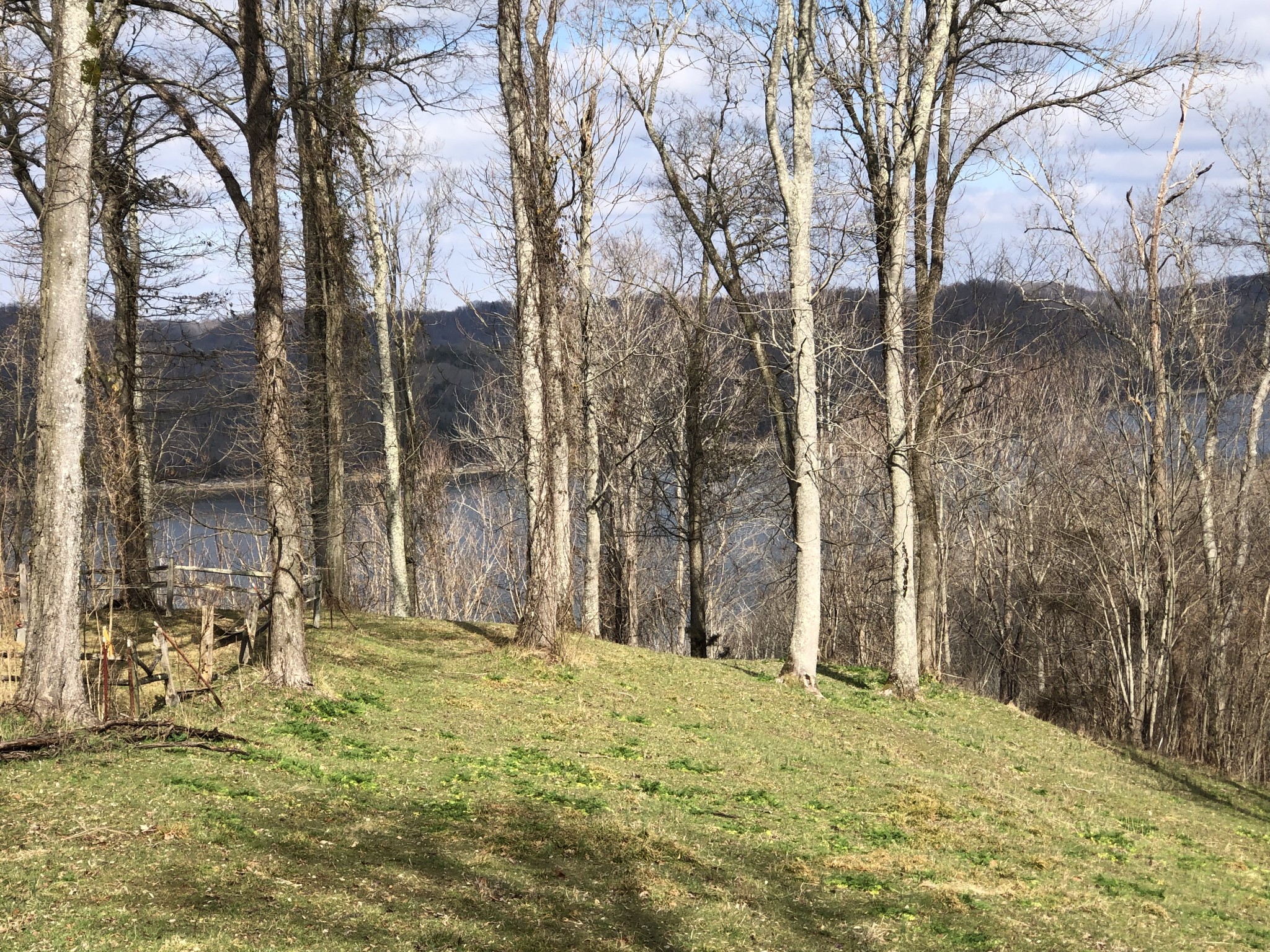 86 Davidson Road Smithville, TN 37166 - Photo 1 of 5 a view of backyard with large trees