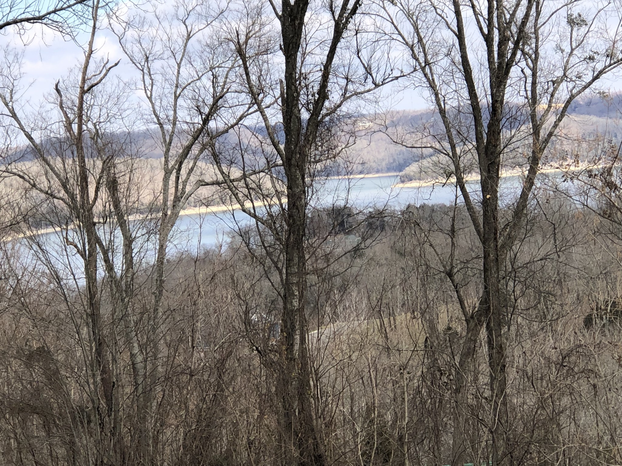 86 Davidson Road Smithville, TN 37166 - Photo 3 of 5 a view of mountain covered with trees