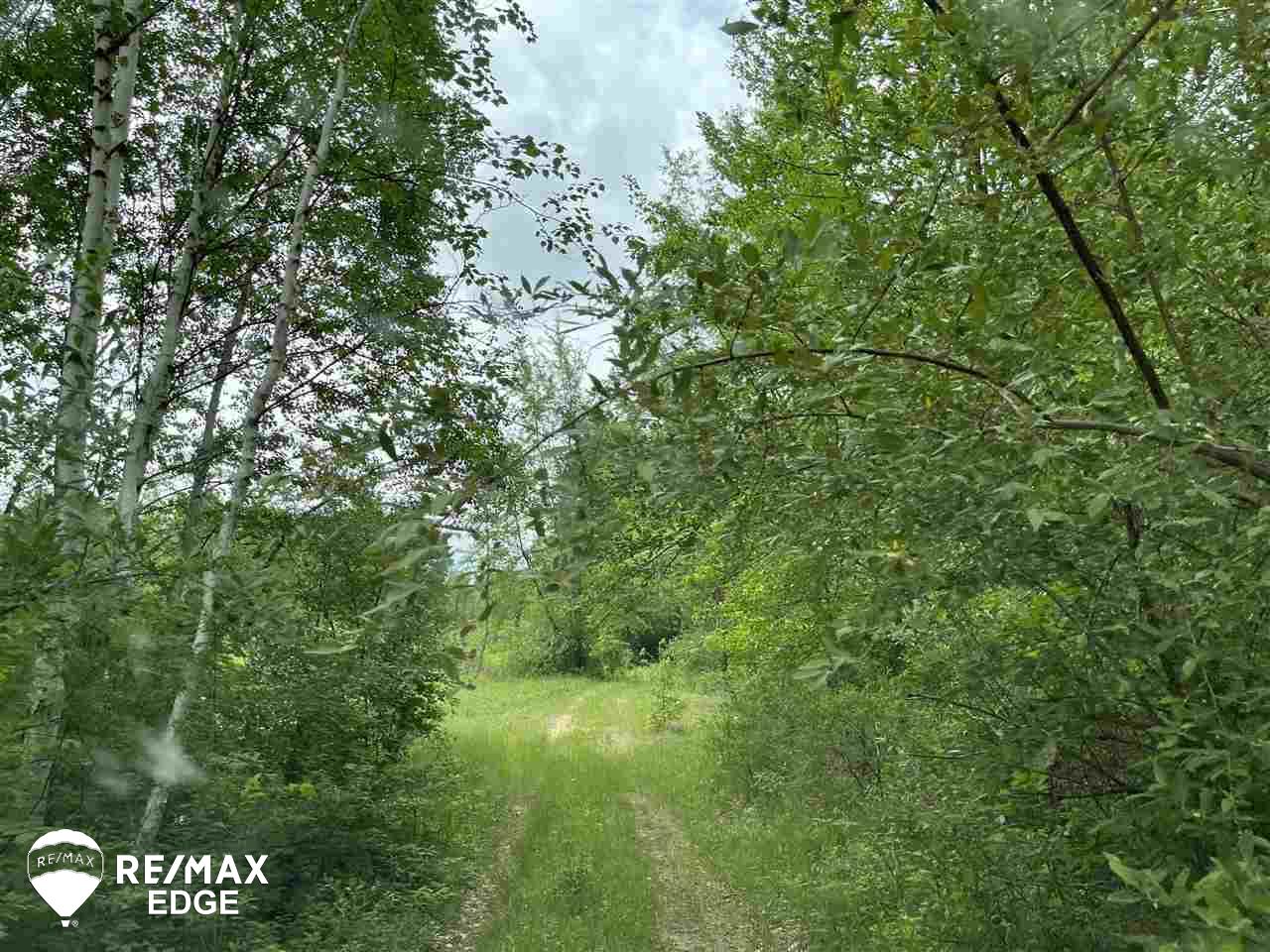 4800 Waltan Road Vassar, MI 48768 - Photo 29 of 32 50044185-31.JPG