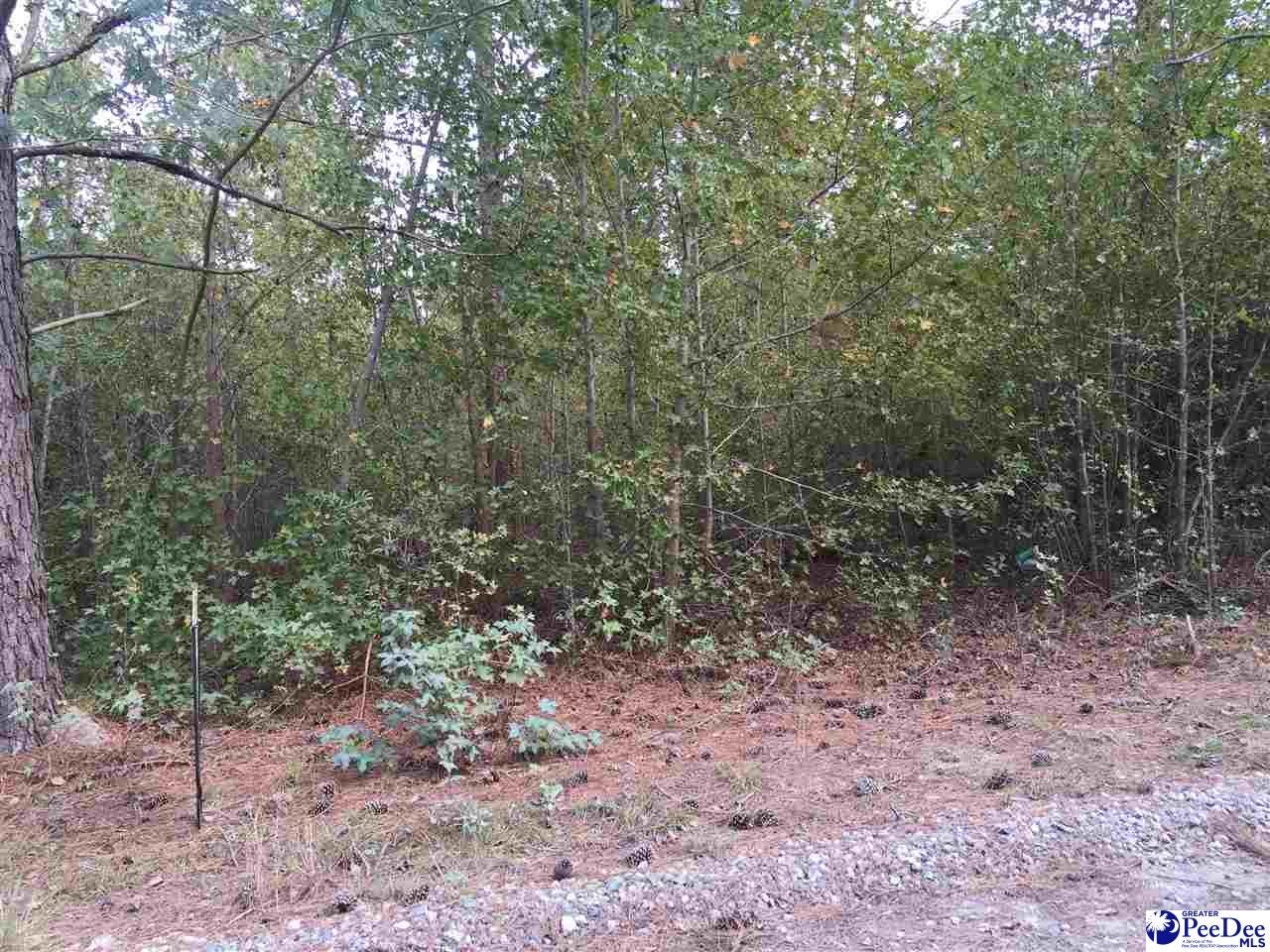 17.67 Buckshot Road Florence, SC 29501 - Photo 1 of 1 Gallery Image 1