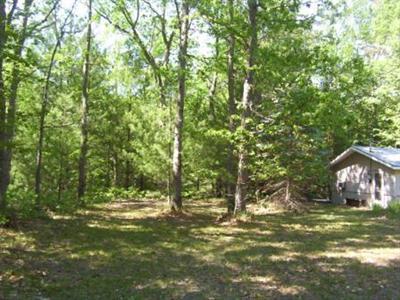 5517 East Filburn Road Fountain, MI 49410 - Photo 21 of 24 Additional Photo