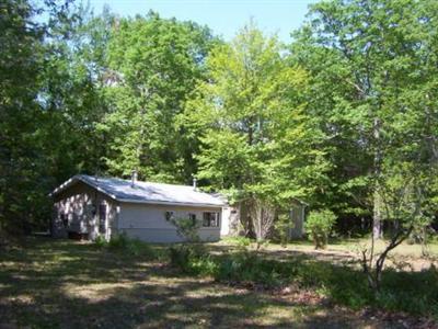 5517 East Filburn Road Fountain, MI 49410 - Photo 22 of 24 Additional Photo