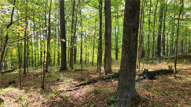 $574,900 | Humphrey Road, Great Valley, NY 14741