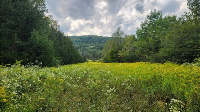 $574,900 | Humphrey Road, Great Valley, NY 14741