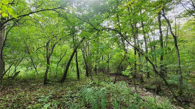 $574,900 | Humphrey Road, Great Valley, NY 14741