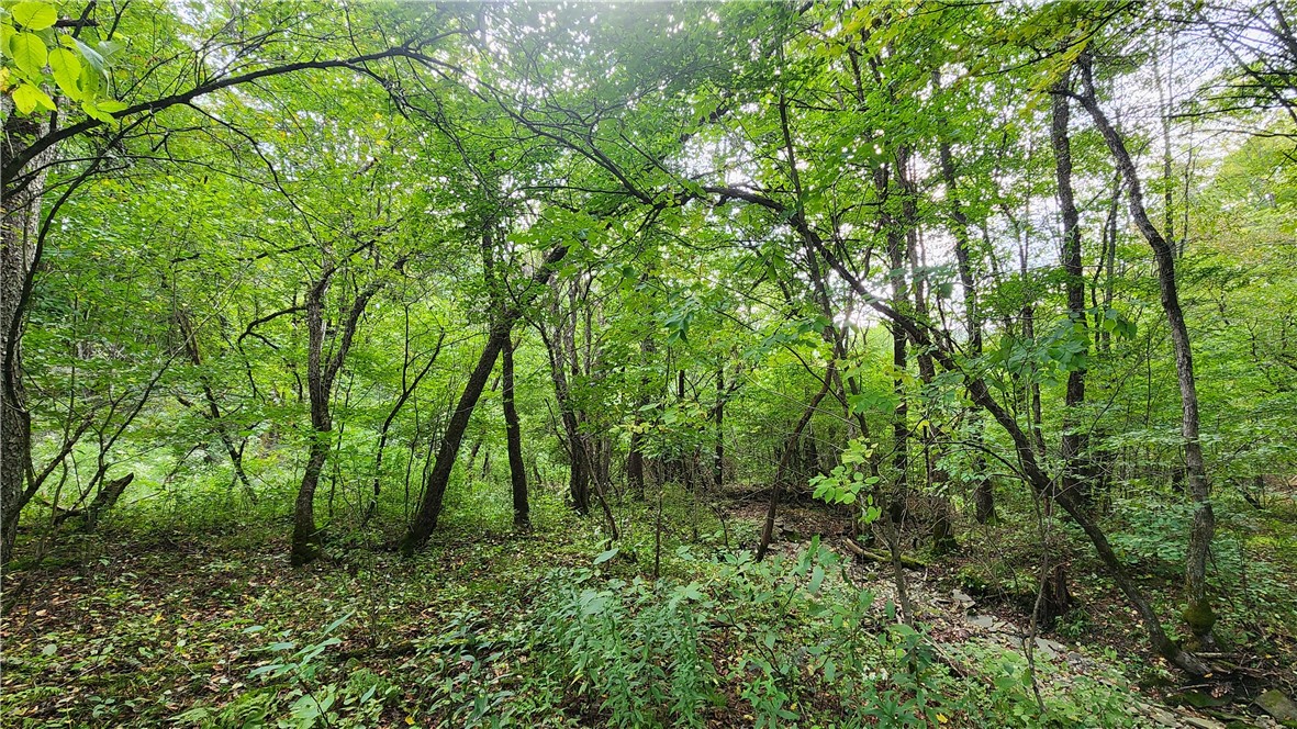 Humphrey Road Great Valley, NY 14741 - Photo 13 of 45