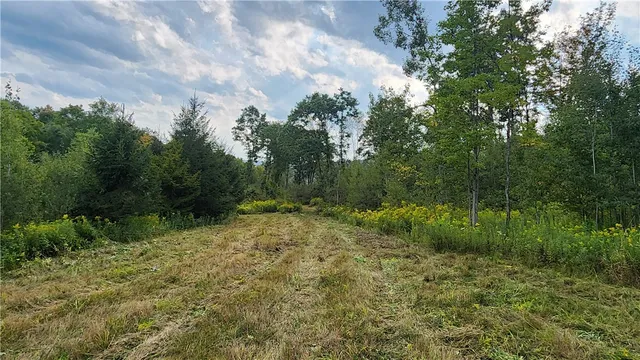 $574,900 | Humphrey Road, Great Valley, NY 14741