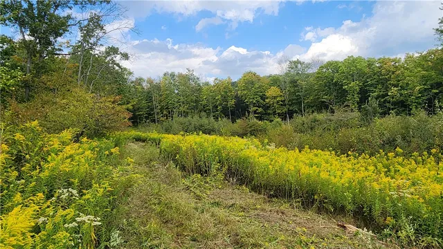 $574,900 | Humphrey Road, Great Valley, NY 14741