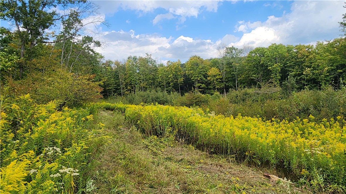 Humphrey Road Great Valley, NY 14741 - Photo 16 of 45