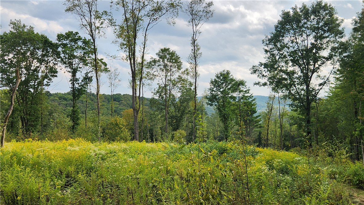 Humphrey Road Great Valley, NY 14741 - Photo 17 of 45 Habitat Mgmt Area
