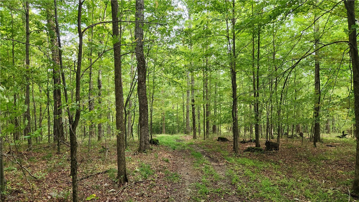 Humphrey Road Great Valley, NY 14741 - Photo 18 of 45