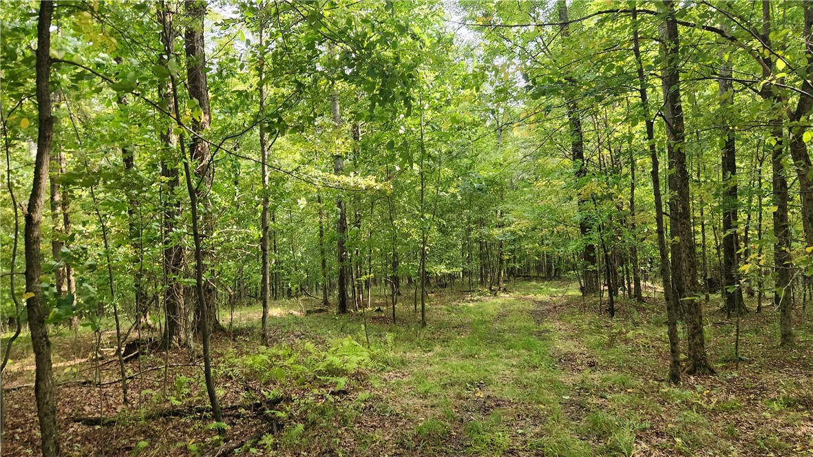 Humphrey Road Great Valley, NY 14741 - Photo 19 of 45