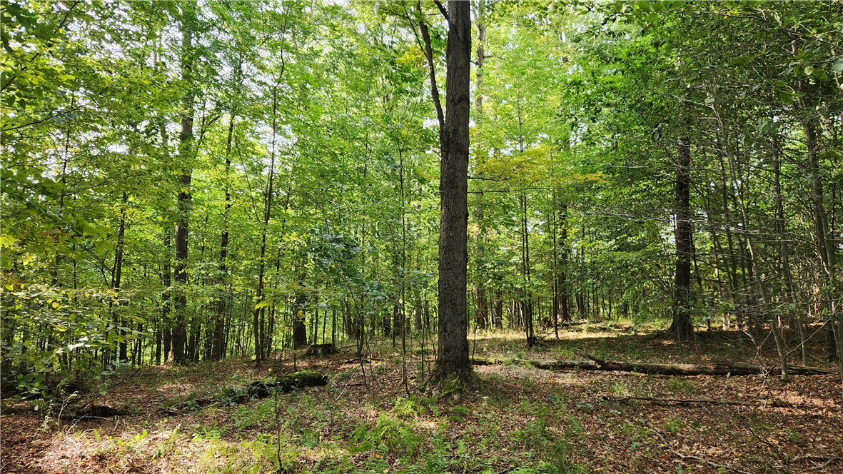 Humphrey Road Great Valley, NY 14741 - Photo 20 of 45
