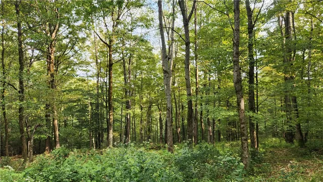 $574,900 | Humphrey Road, Great Valley, NY 14741