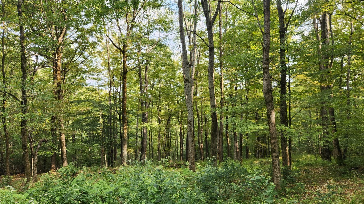 Humphrey Road Great Valley, NY 14741 - Photo 21 of 45