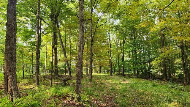 $574,900 | Humphrey Road, Great Valley, NY 14741