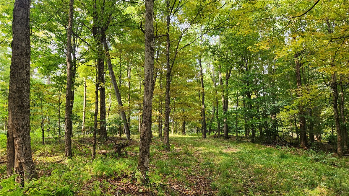 Humphrey Road Great Valley, NY 14741 - Photo 22 of 45